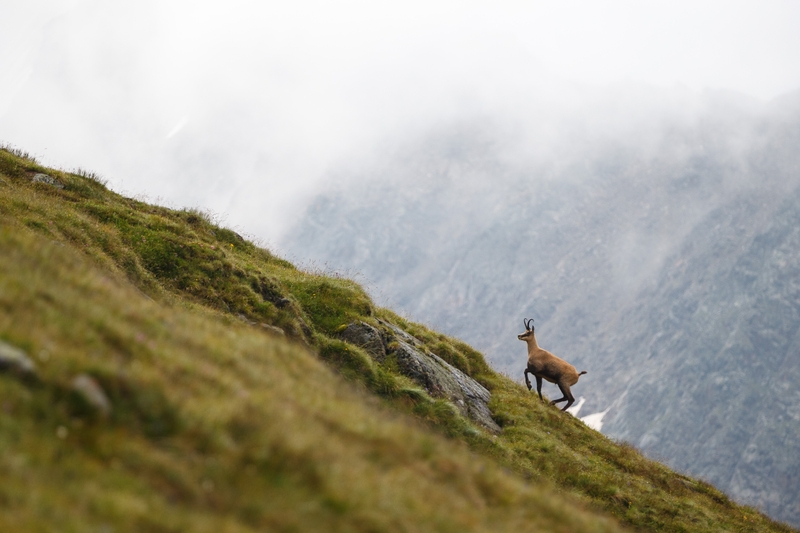 Alpenüberquerung, Copyright Marco Kost