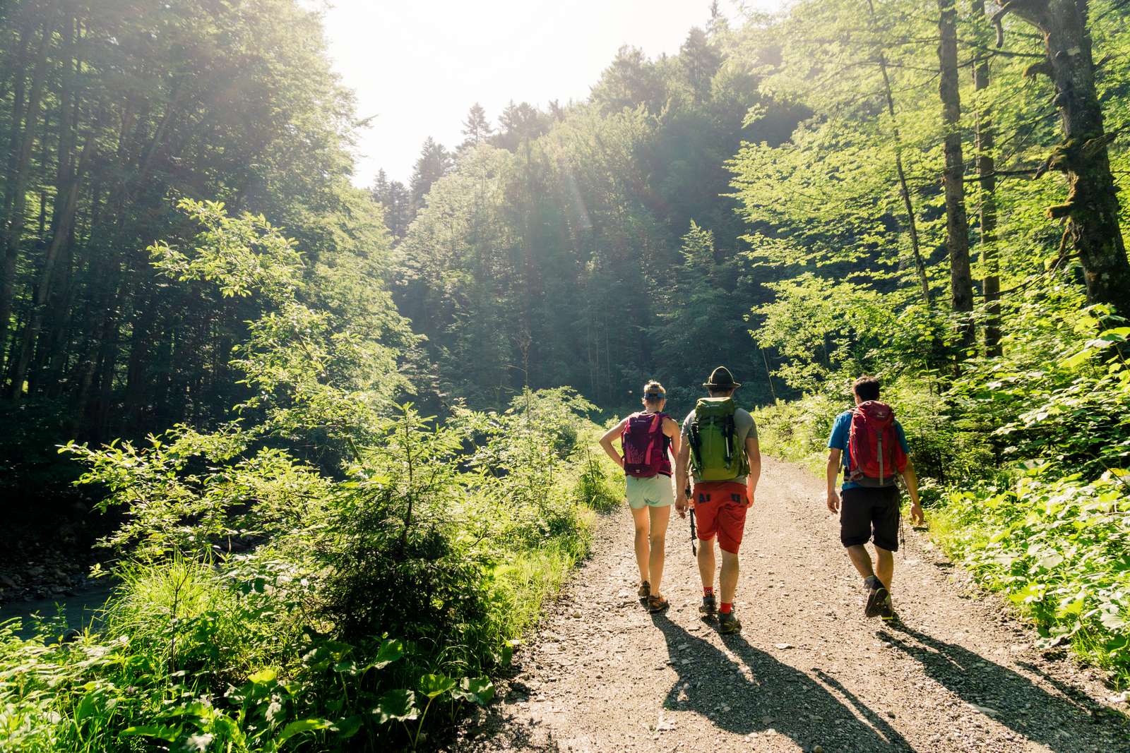 Wandern rund um Obernhof